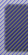 rapidchip_website04_rev02003011.jpg