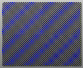 rapidchip_website04_rev02004008.jpg